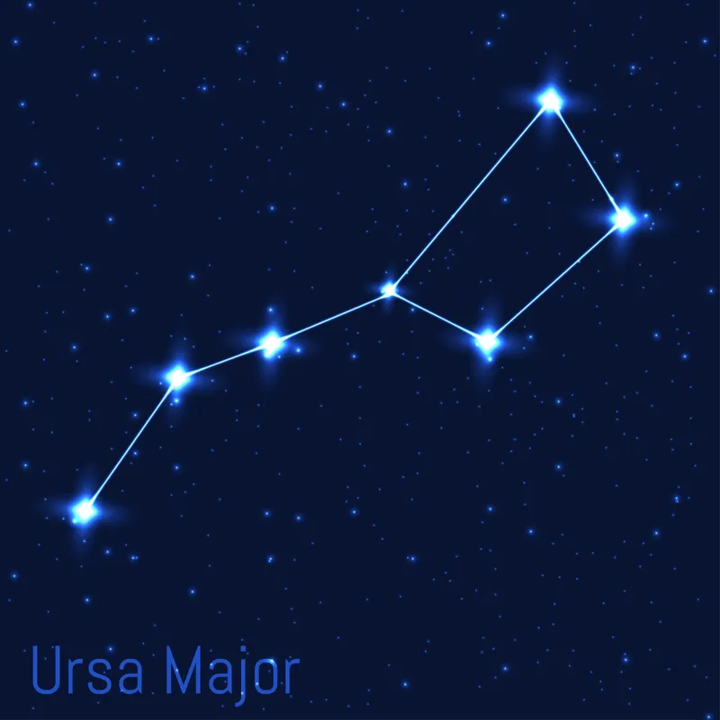 Vector,Illustration,Of,Ursa,Major,Constellation.,Astronomical,Big,Bear.,Cluster