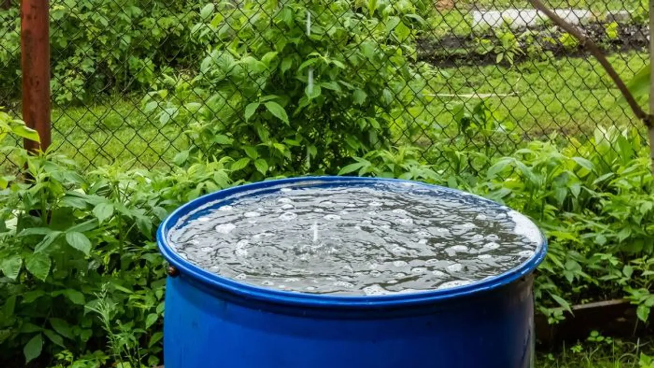 Nehogy kárba vesszen! Így gyűjtsük az esővizet!