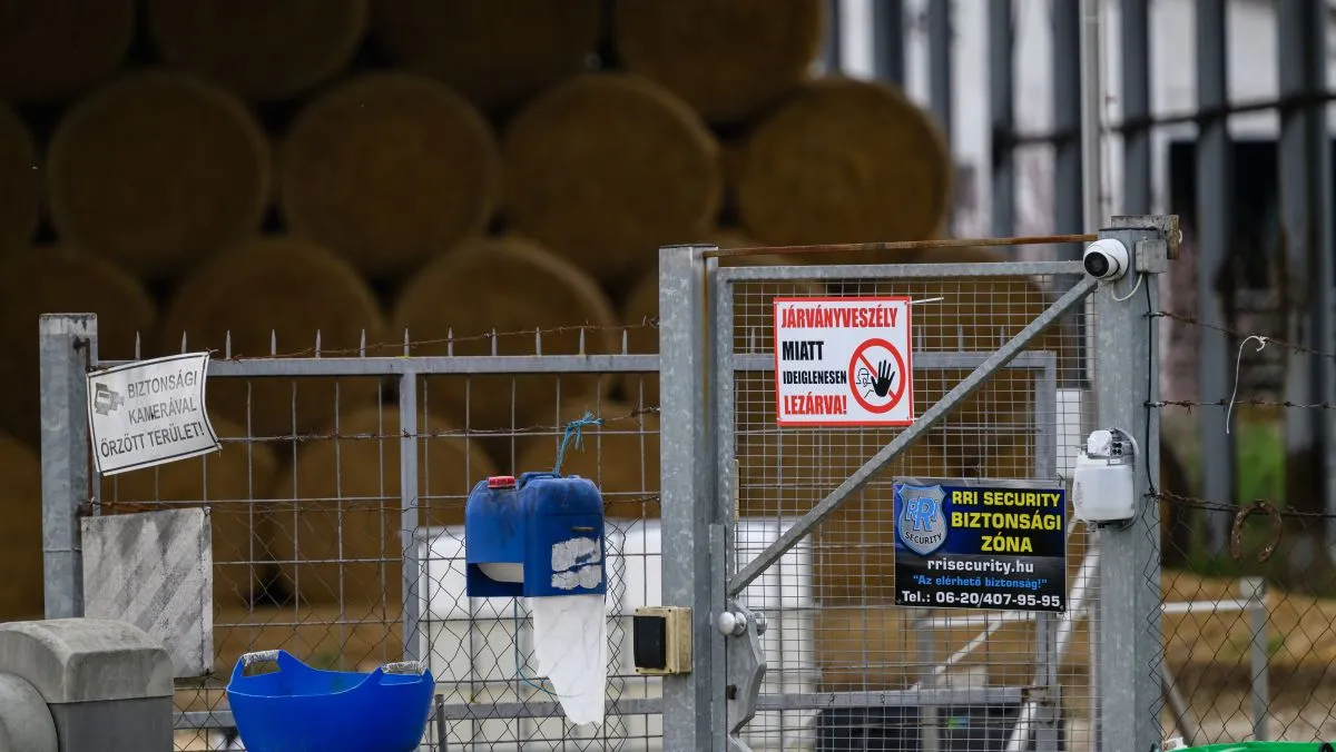  ragadós száj- és körömfájás vírus