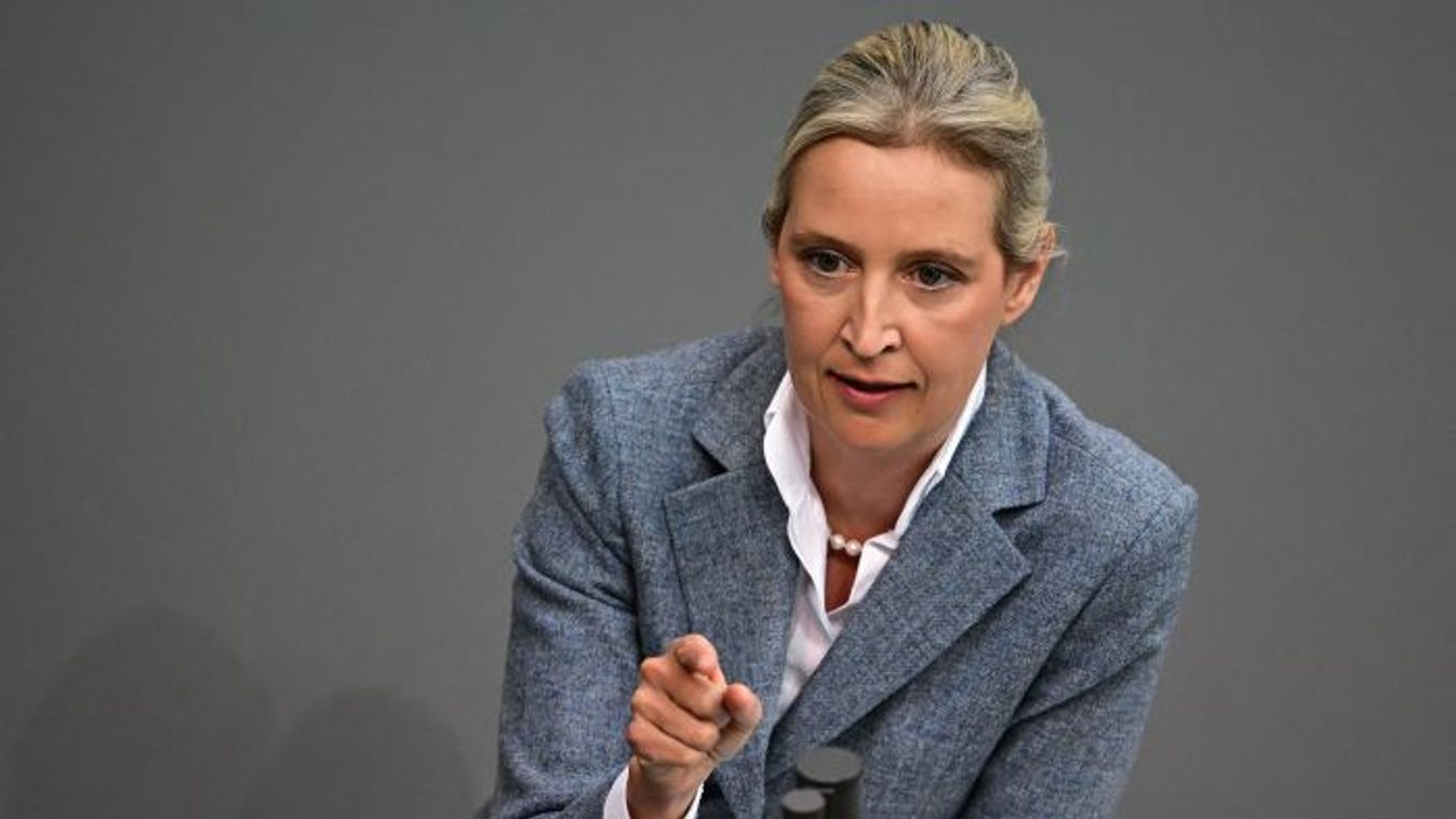Németország legerősebb pártja lett az AfD a legújabb felmérés szerint