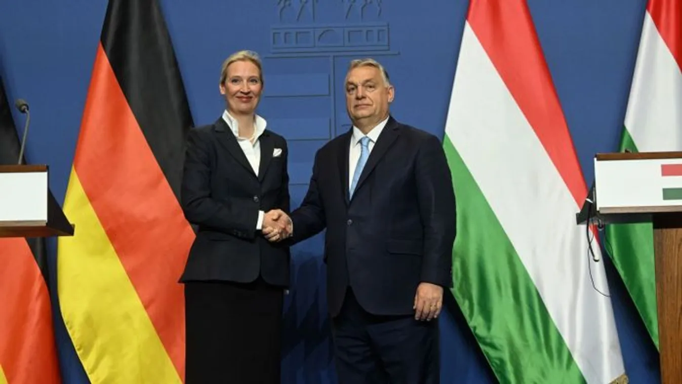 Friss felmérés: Az AfD átvette a vezetést Németországban!