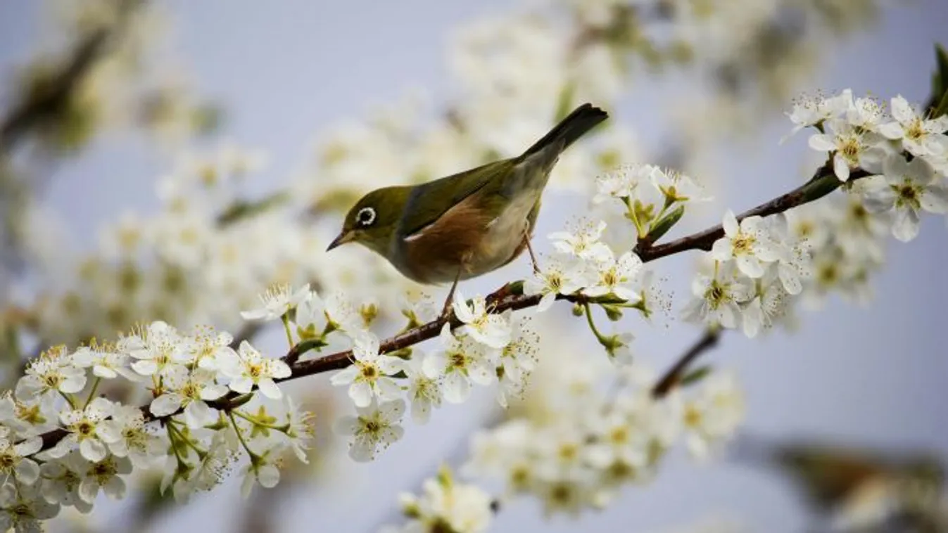 Kitálalt a főboszorkány a tavaszról