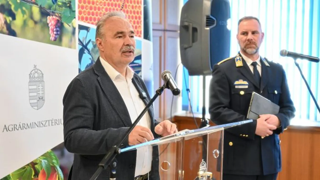 Nagy István: nincs újabb kitörés