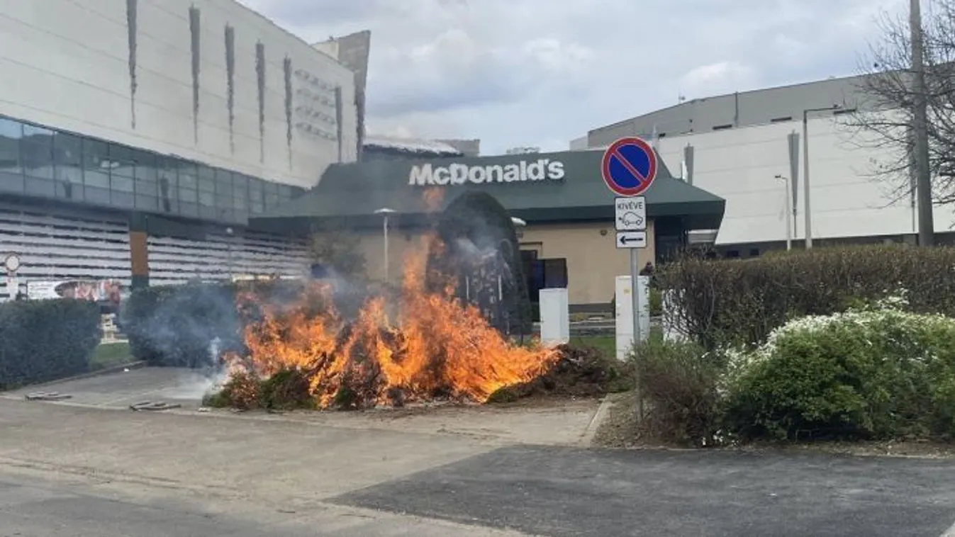 Rohantak a tűzoltók: szándékosan gyújtogattak Miskolcon, hatalmas a kár