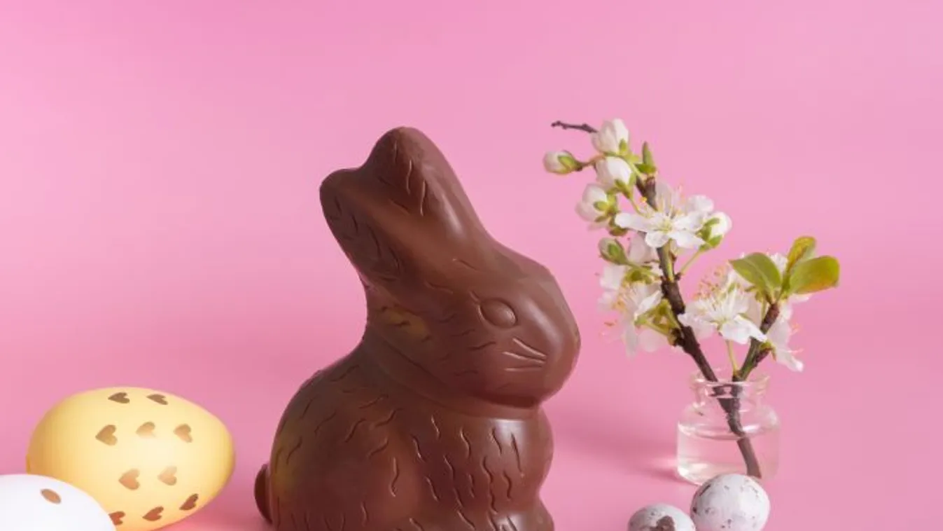 Nagy az izgalom a közösségi oldalakon