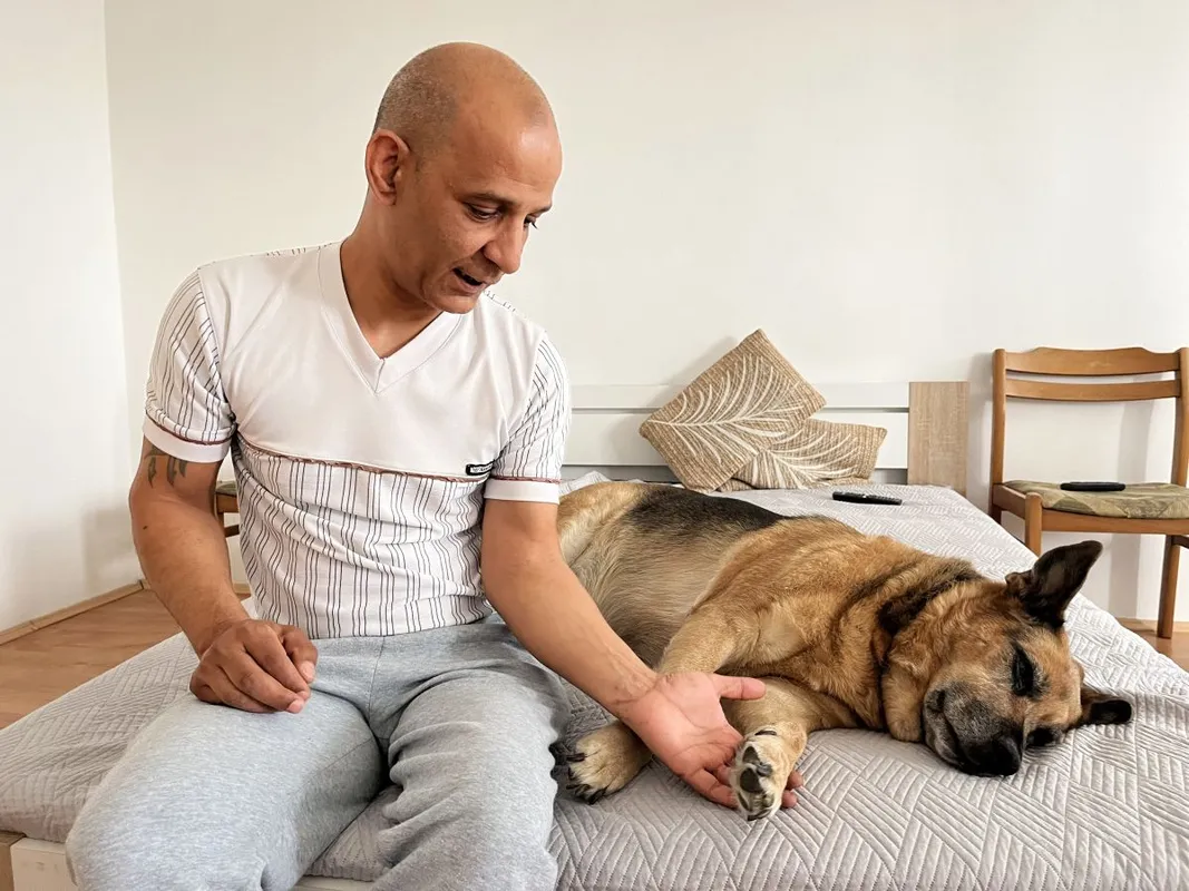 Forgács Zoltán Komló