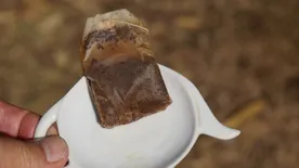 Ne dobd ki a használt teafiltert – nyáron aranyat ér a kertedben!