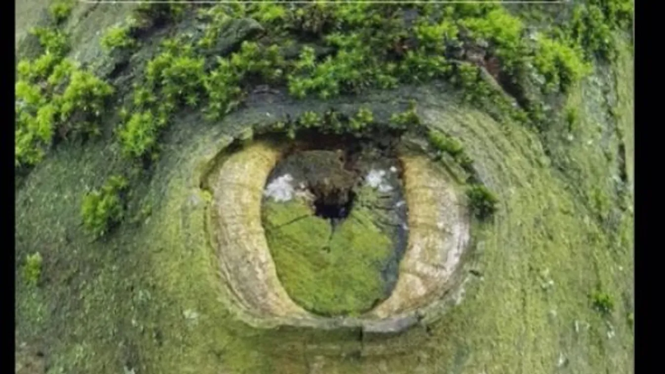 Személyiséged legrejtettebb titkát árulja el ez a teszt