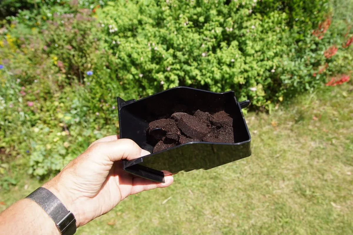 Rengeteg mindenre jó a kávézacc a kertben.