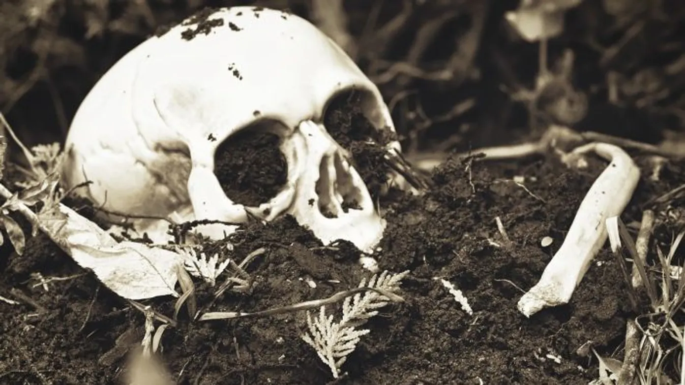 Valódi emberi csontokat árultak a Facebookon