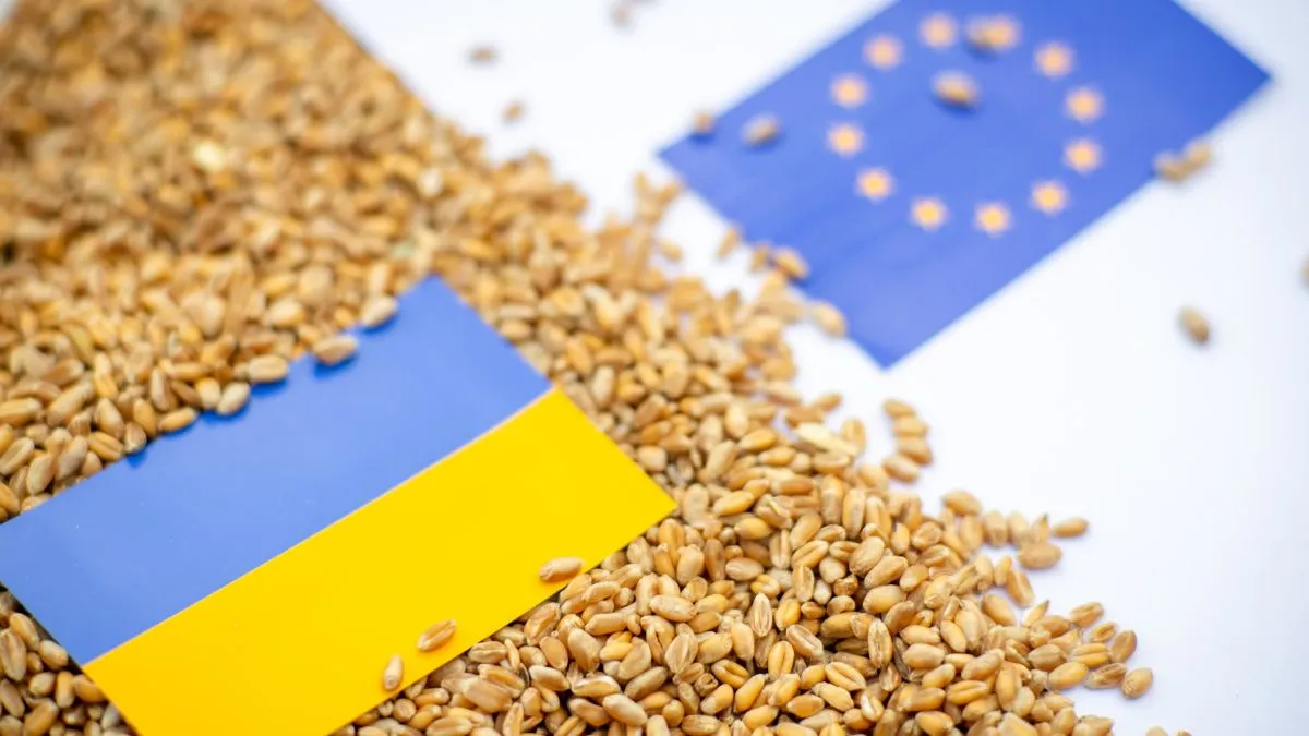 Export,Of,Ukrainian,Grain,Concept.,Flags,Of,Ukraine,And,The
