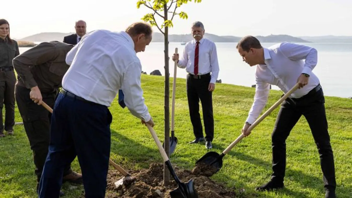 Zöld Magyarország: 50 millió facsemete évente!