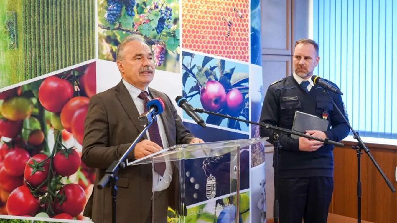 Száj- és körömfájás: Nincs újabb megbetegedés