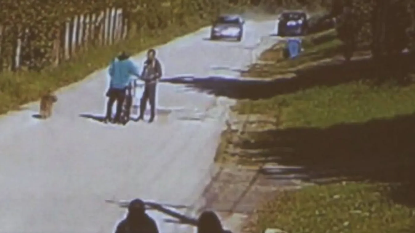 Fékezés nélkül gázolt halálra egy miskolci bringást a sofőr