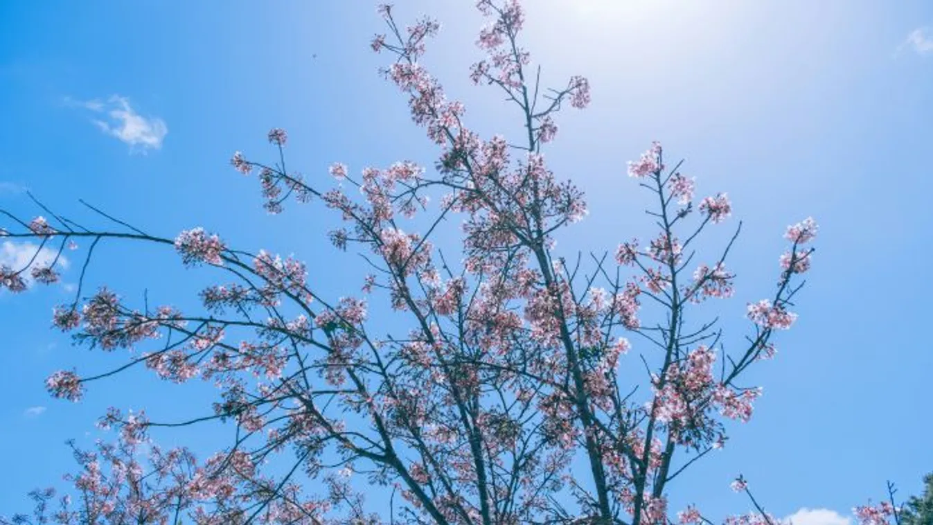 Ismét változás jön az időjárásban a hétvége közeledtével