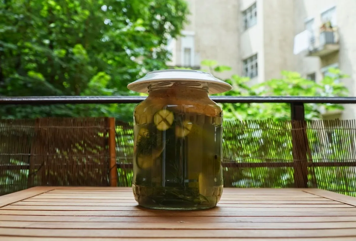 Koviubi Homemade,Fermented,Dill,Pickles,,Hungarian,Leavened,Cucumber,(,Kovászos,Uborka