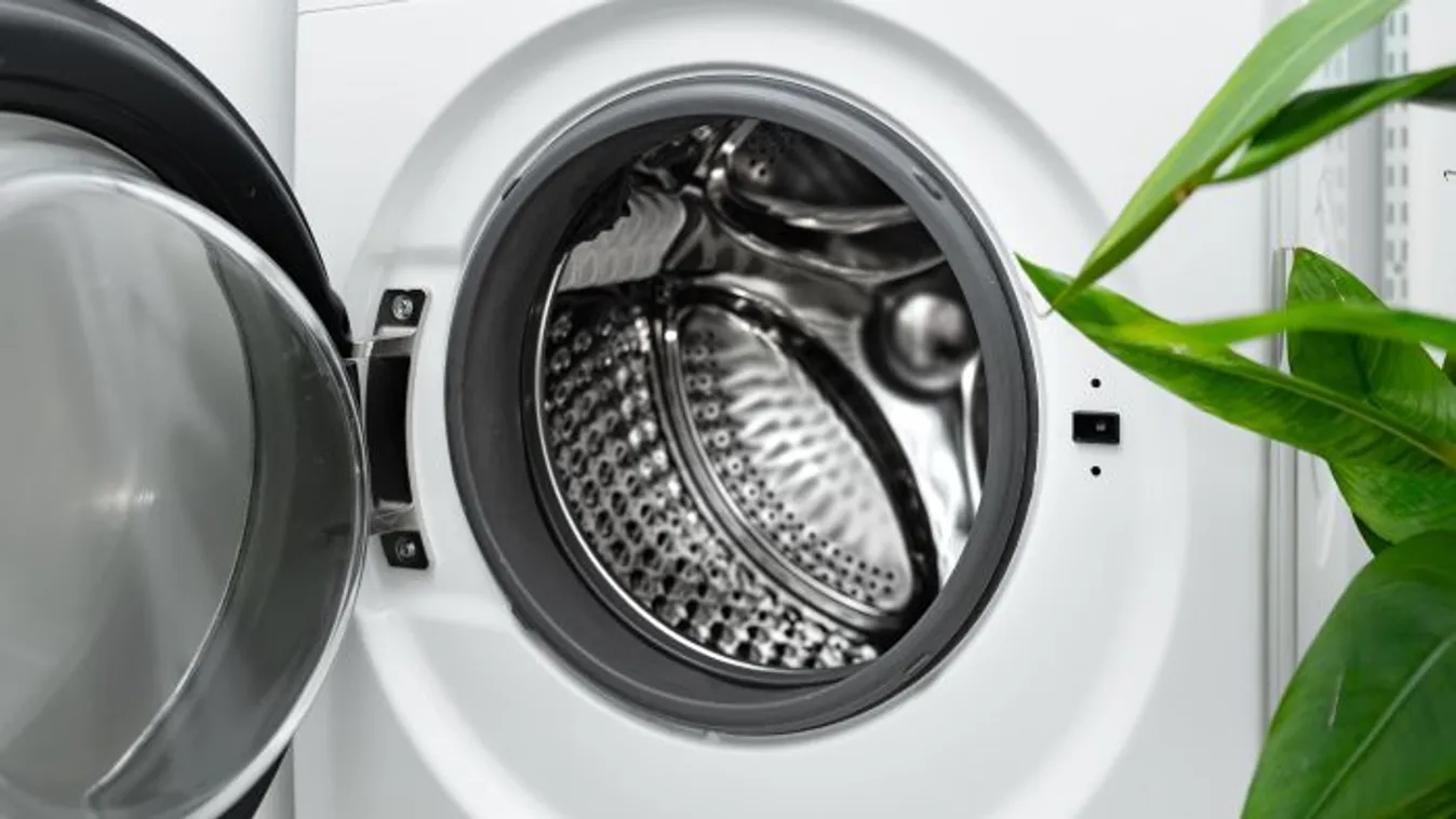Itt az újabb mosógép teória: főszerepben a penész