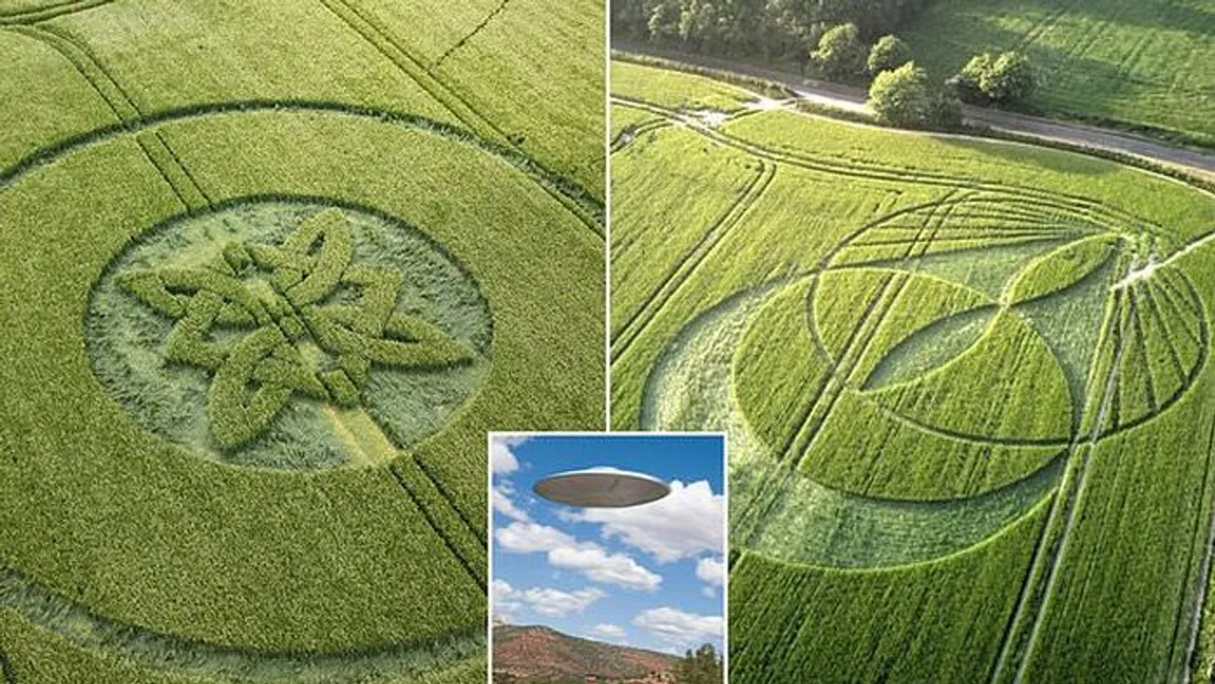  Rejtélyes gabonakörök jelentek meg egy mezőn – Fotó