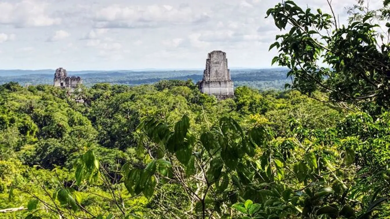 Elképesztő titkokra derült fény