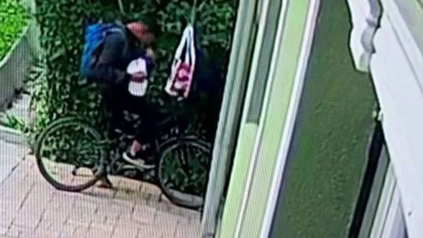 Kajalopó rém tartja rettegésben Felsőtárkányt