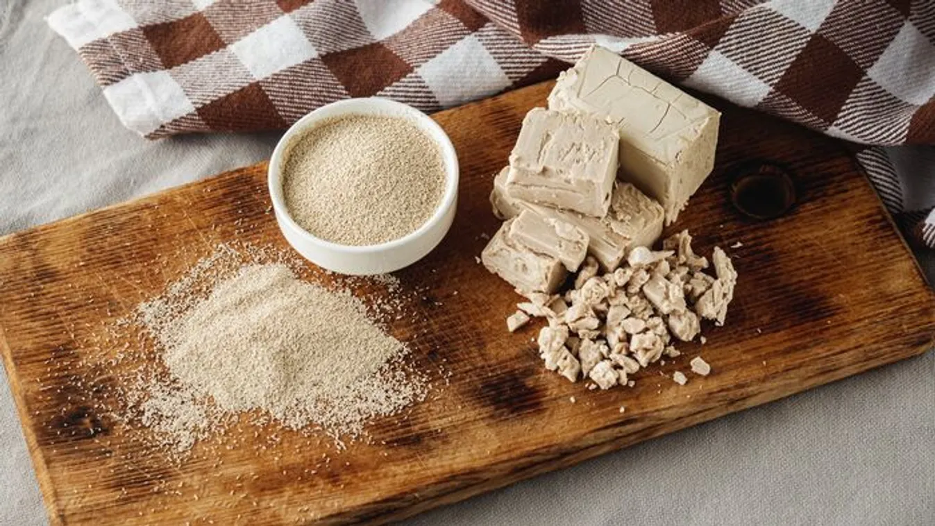 Eszméletlen, mit művel kertedben az élesztő