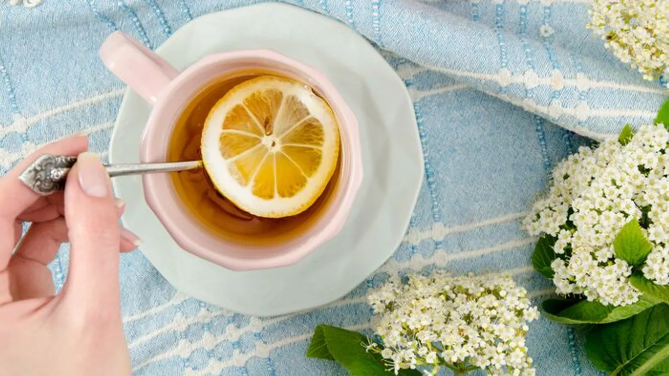 Nem csak szörpnek jó a bodza! 5 dolog, amire használhatod