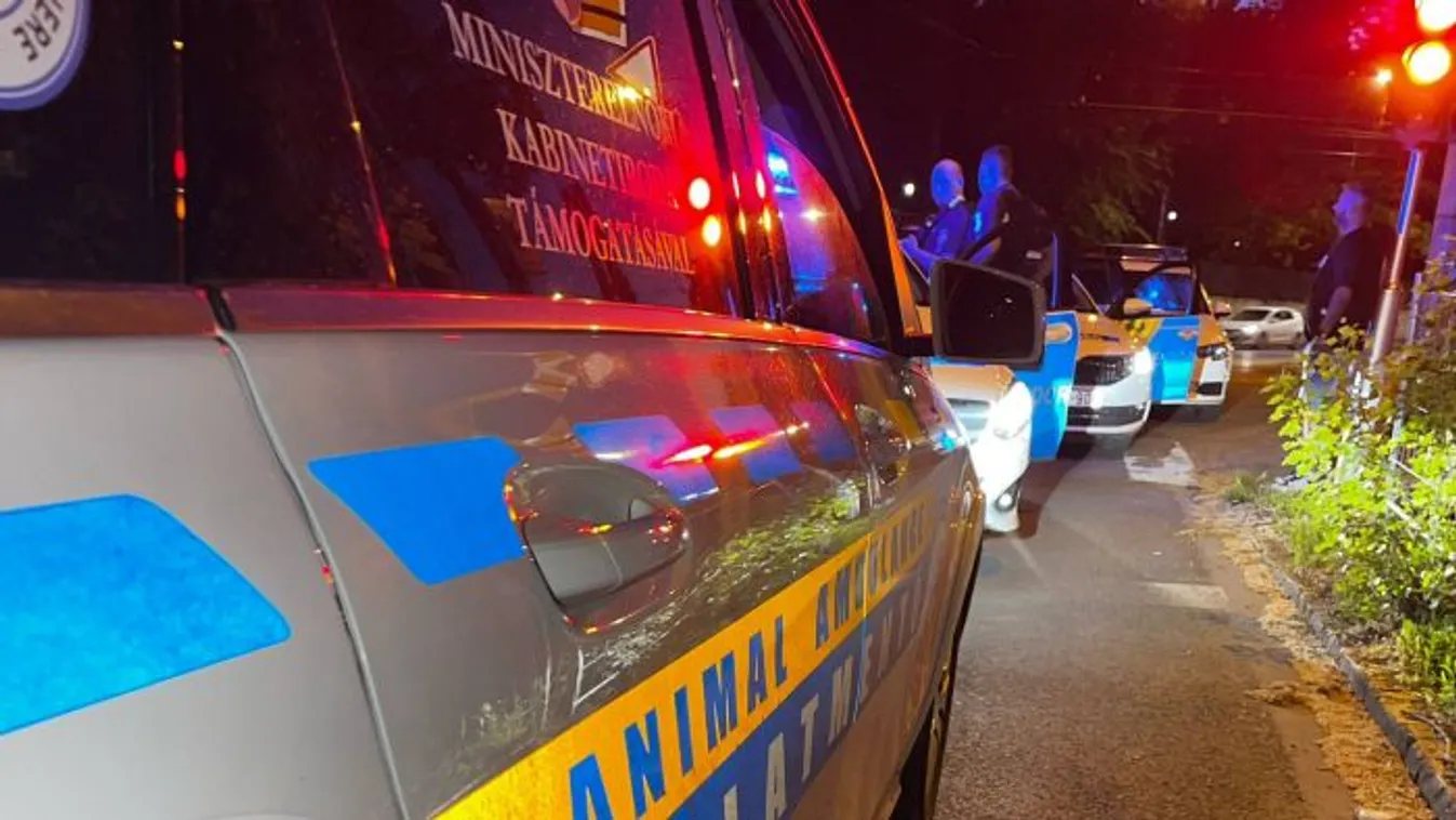 Pucéran fajtalankodott a kutyával, majd tombolt egy férfi