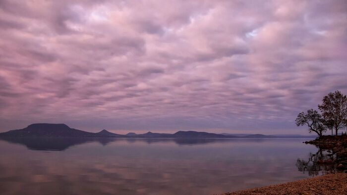 Természetvédelmi vészhelyzet alakult ki a Balatonnál