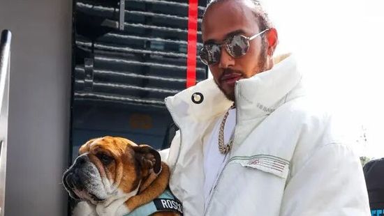 Nem tud koncentrálni Hamilton, állandóan a súlyos beteg kutyájáért aggódik