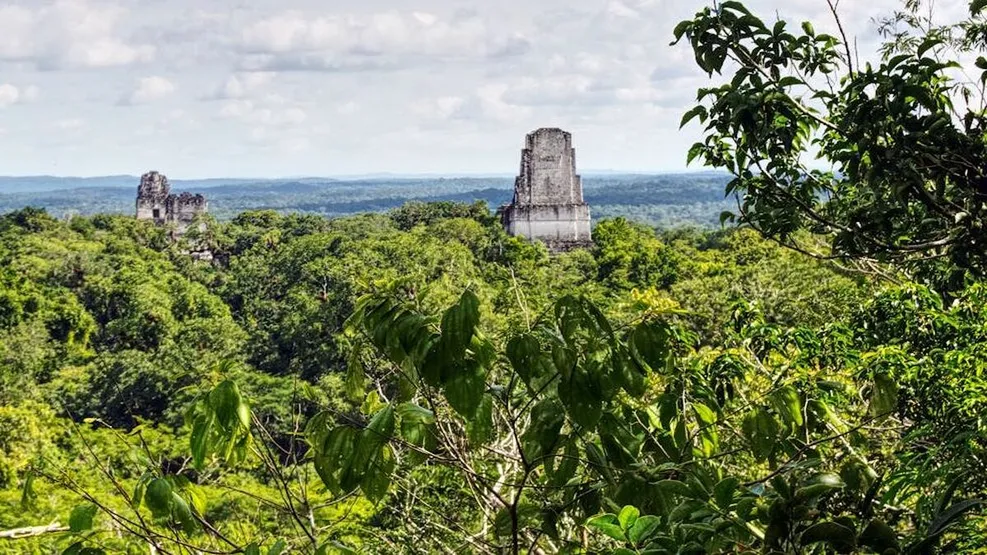 Pelén, maja romváros, DNS