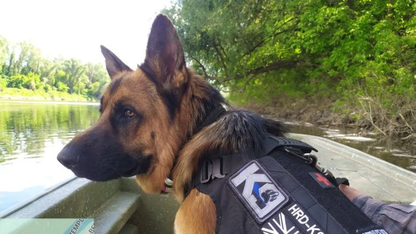 Borzalom: megtalálták a több mint egy hete eltűnt fiú holttestét a folyóban