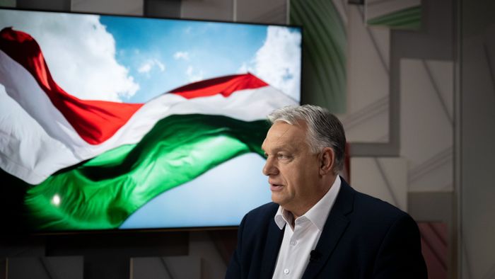 „Állatvédők figyelem!” – nagy bejelentést tett Orbán Viktor
