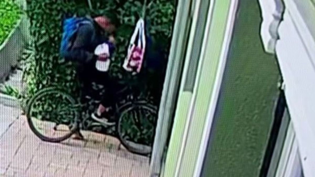 Kajalopó rém dézsmálta meg a háziorvos rántott húsát Felsőtárkányban