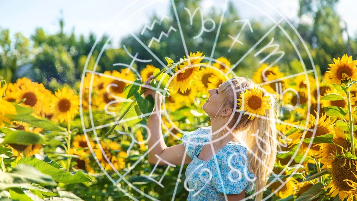 Woman,In,A,Field,Of,Sunflowers.,Ukraine.,Selective,Focus.,Nature.