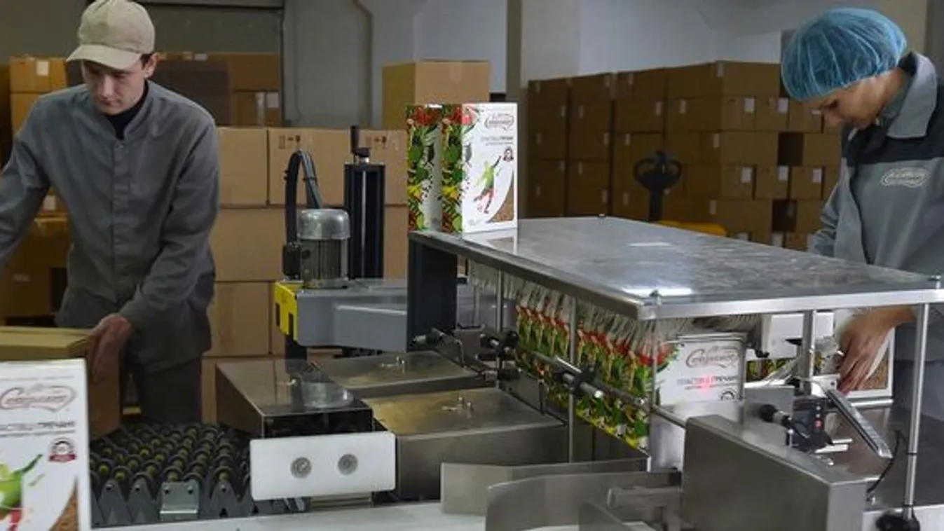 Az ukrán EU-csatlakozás lenyomná a magyar béreket,