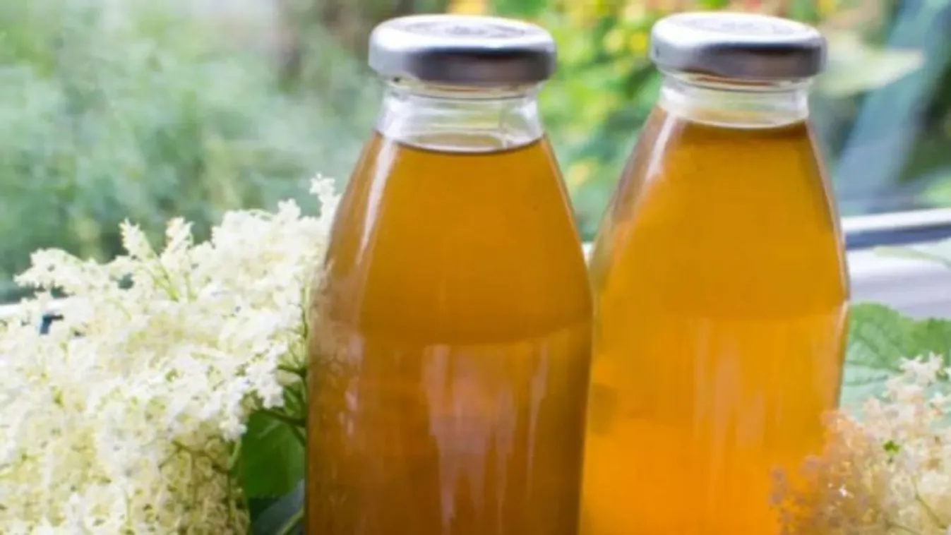 Házi bodzaszörp: isteni finom, így készül