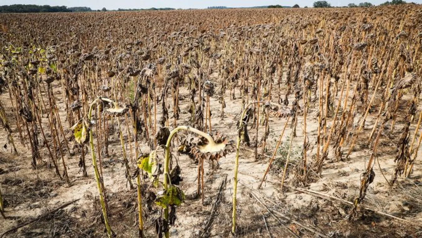 Megalakult az aszályvédelmi törzs.