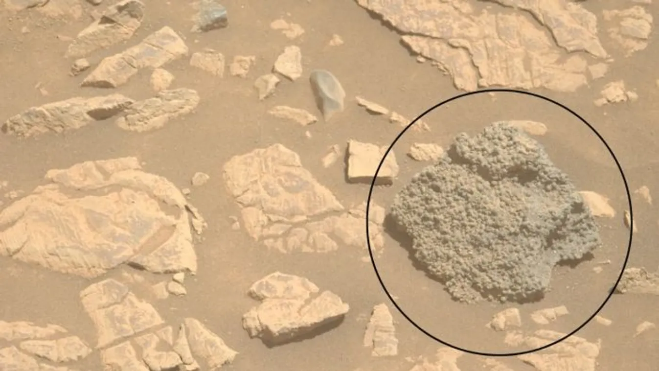 Póktojások a Marson?