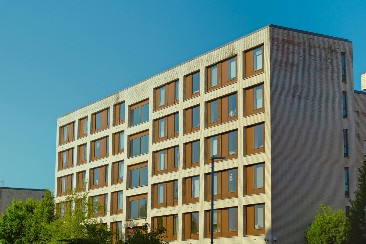 kislány
