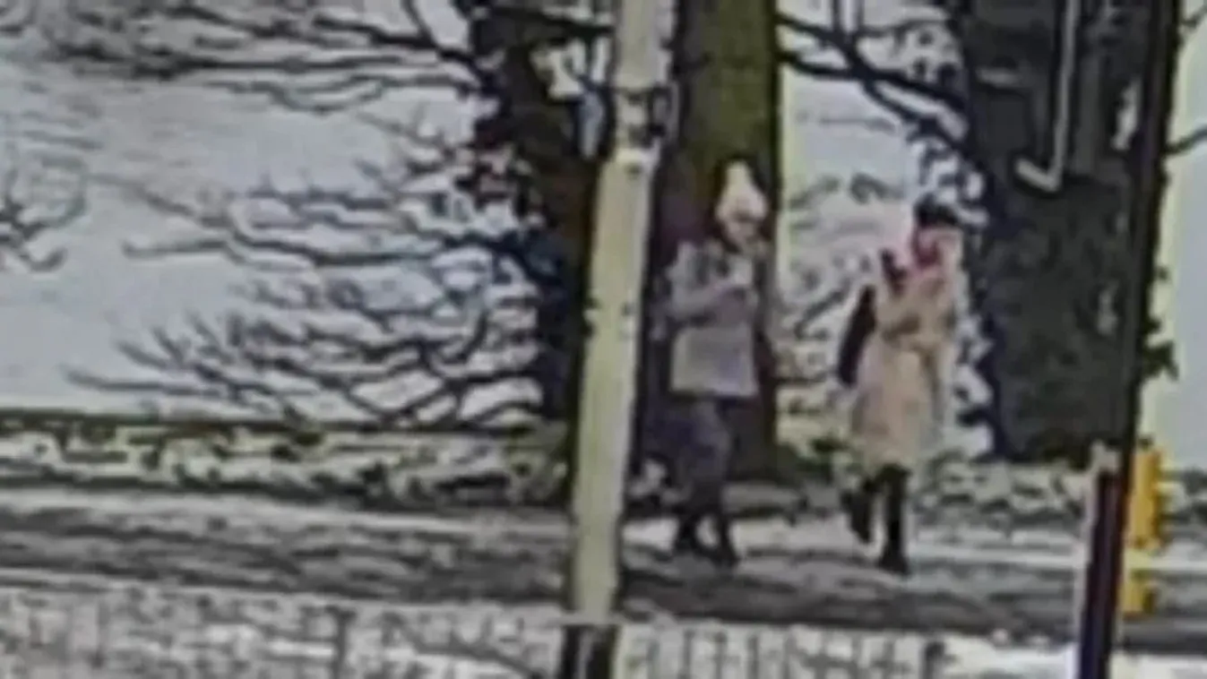 Újabb fordulat a Huszti ikrek halálának ügyében