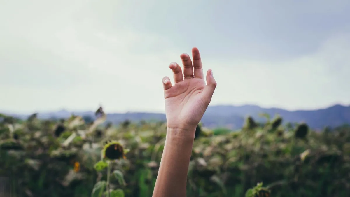 alt=Tragédia, ami a tinilánnyal történt kutya sétáltatás közben