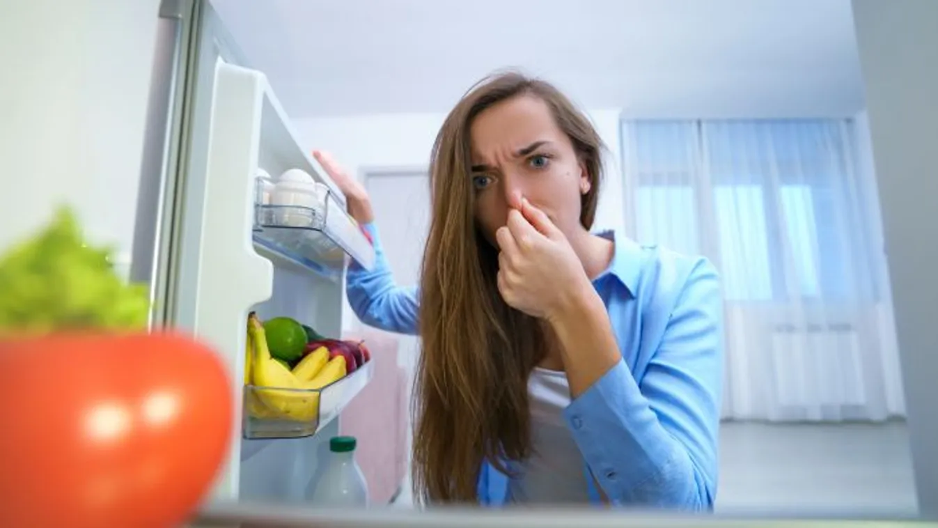 Végre kiderült, hogy honnan jön a szag, ha büdös a hűtő