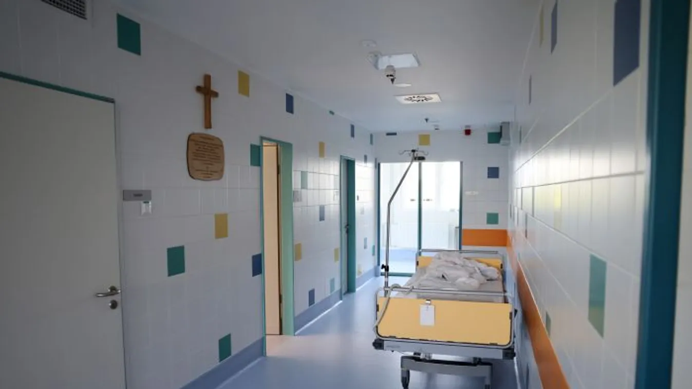 "A húgunk mindössze 31 évesen halt meg demenciában – azt hittük, csak buta, fogalmunk sem volt róla"