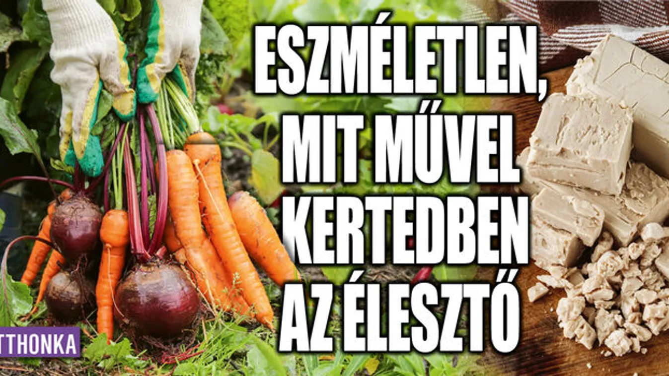 Eszméletlen, mit művel kertedben az élesztő