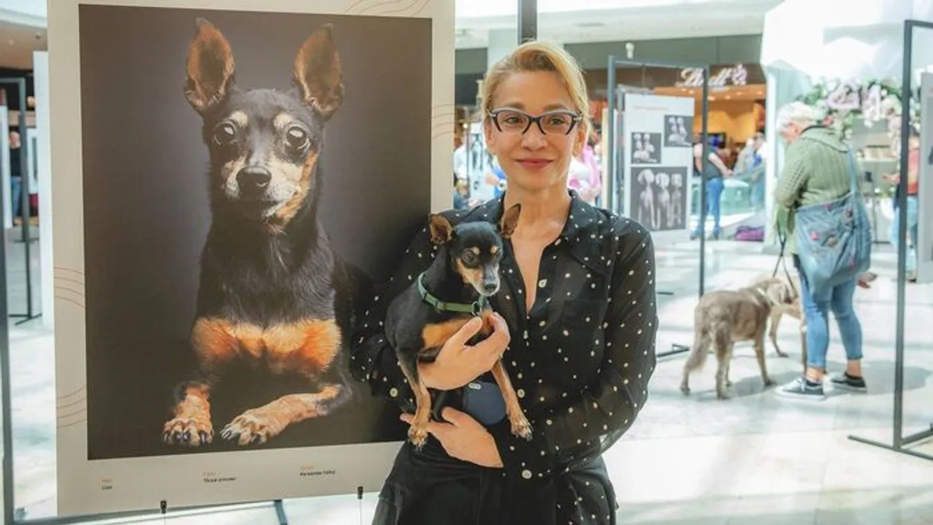 Mocskos átverés áldozata lett Keresztes Ildikó