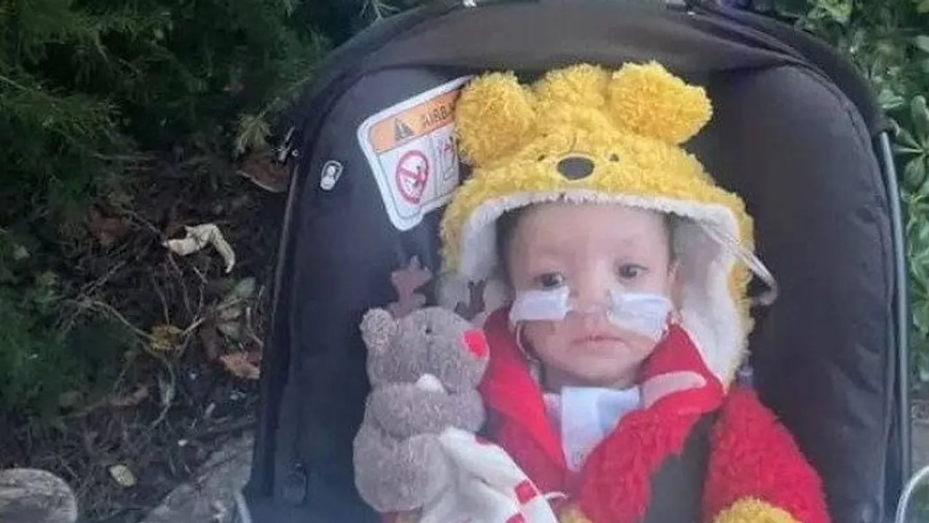 Elhajtanak a  mozgássérült kisgyerek elől a buszsofőrök