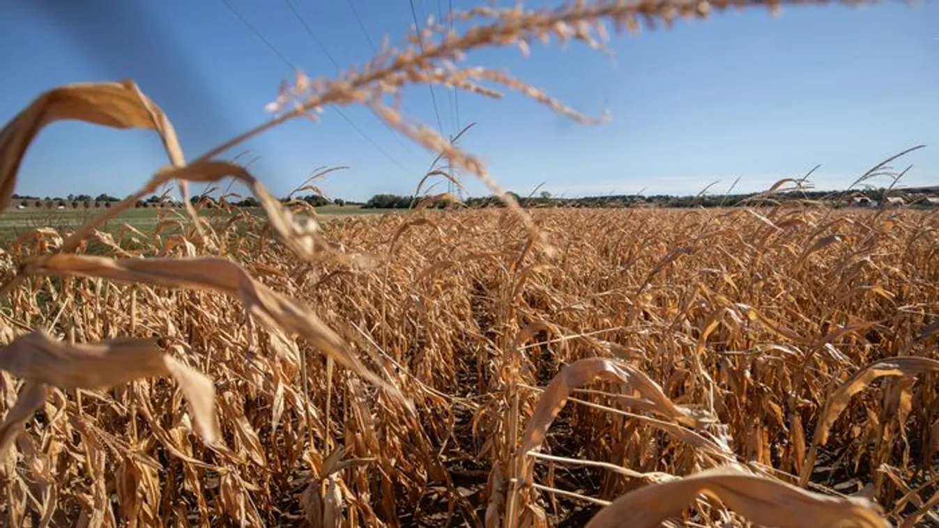 Ukrajna EU-csatlakozása drámai hatással lenne ránk