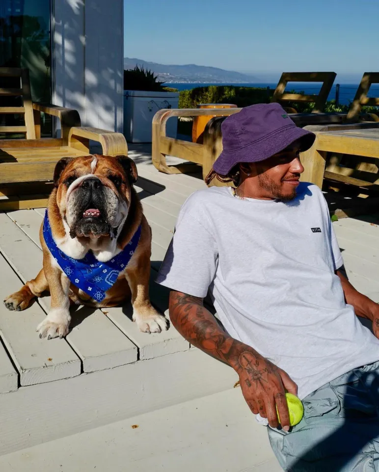 Hamilton és Roscoe