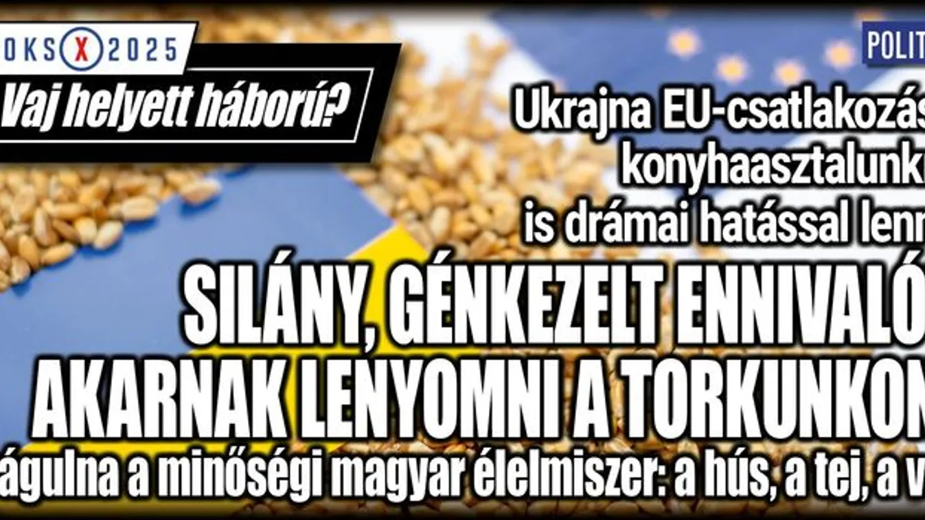 Ukrajna EU-csatlakozása drámai hatással lenne ránk