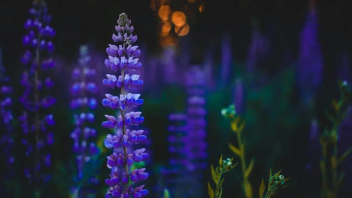 Megbolondul az időjárás, bezuhan a hőmérséklet